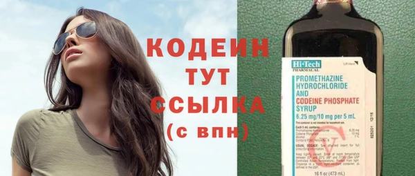 ГАЛЛЮЦИНОГЕННЫЕ ГРИБЫ Аркадак