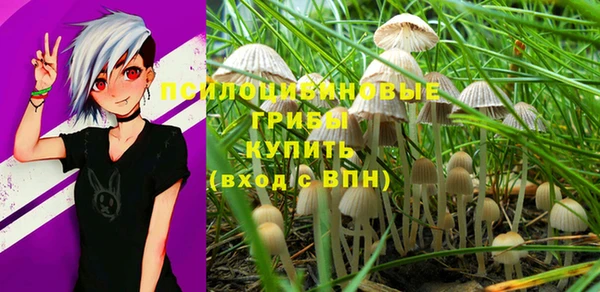 прущая мука Арсеньев