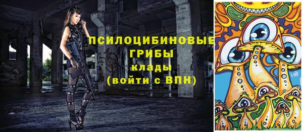 ГАЛЛЮЦИНОГЕННЫЕ ГРИБЫ Аркадак