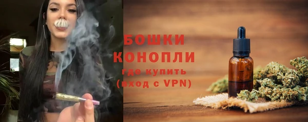 ГАЛЛЮЦИНОГЕННЫЕ ГРИБЫ Аркадак