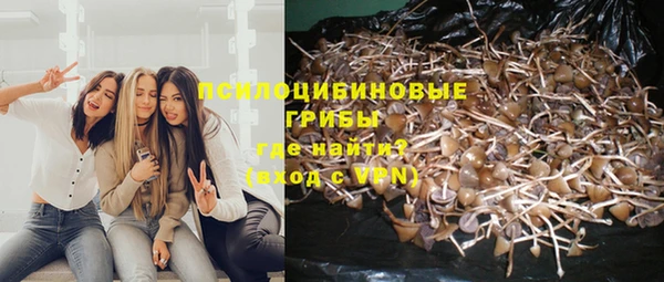 прущая мука Арсеньев
