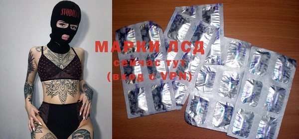 ГАЛЛЮЦИНОГЕННЫЕ ГРИБЫ Аркадак