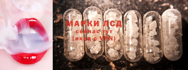 ГАЛЛЮЦИНОГЕННЫЕ ГРИБЫ Аркадак