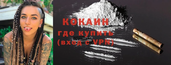 ГАЛЛЮЦИНОГЕННЫЕ ГРИБЫ Аркадак